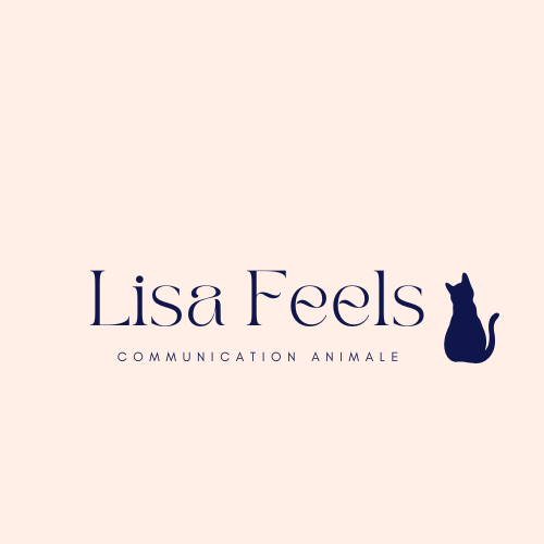 Bienvenue dans le monde de la communication animale !