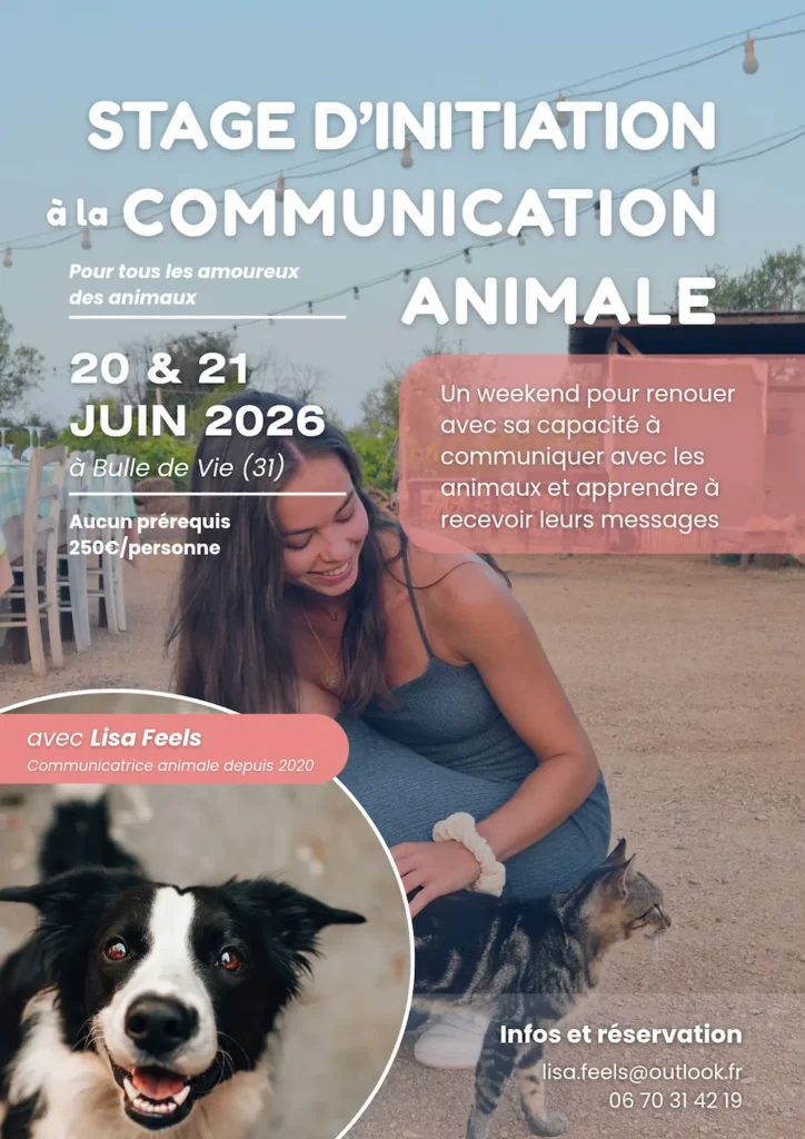 affiche du stage d'initiation à la communication animale