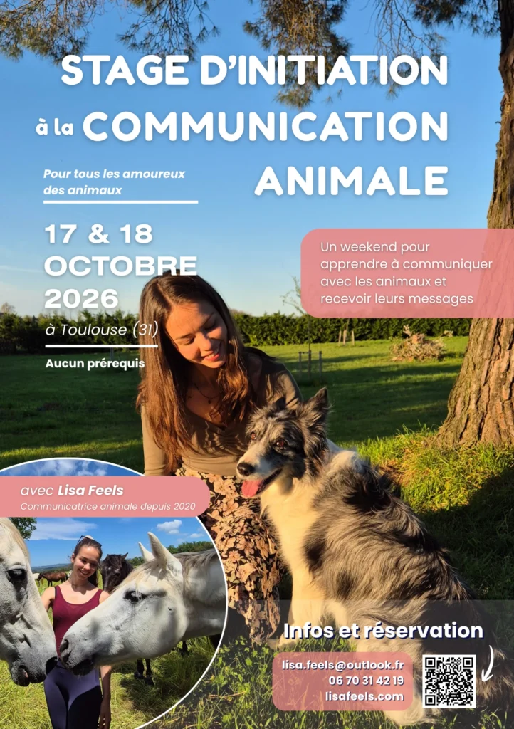 affiche stage initiation communication animale toulouse